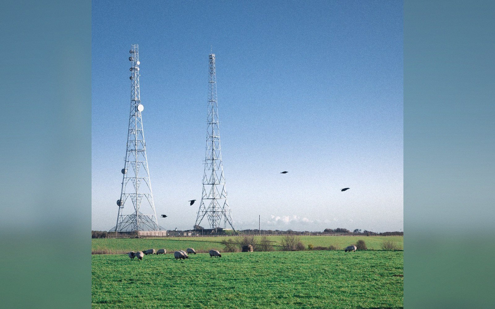 A directional array of towers spaced across a field